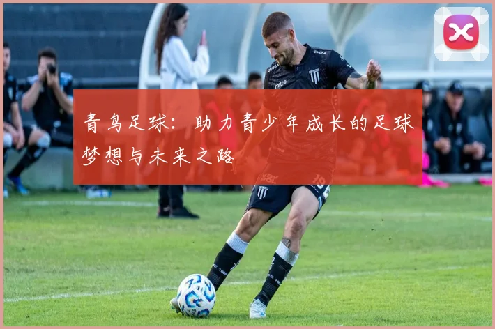 青鸟足球：助力青少年成长的足球梦想与未来之路